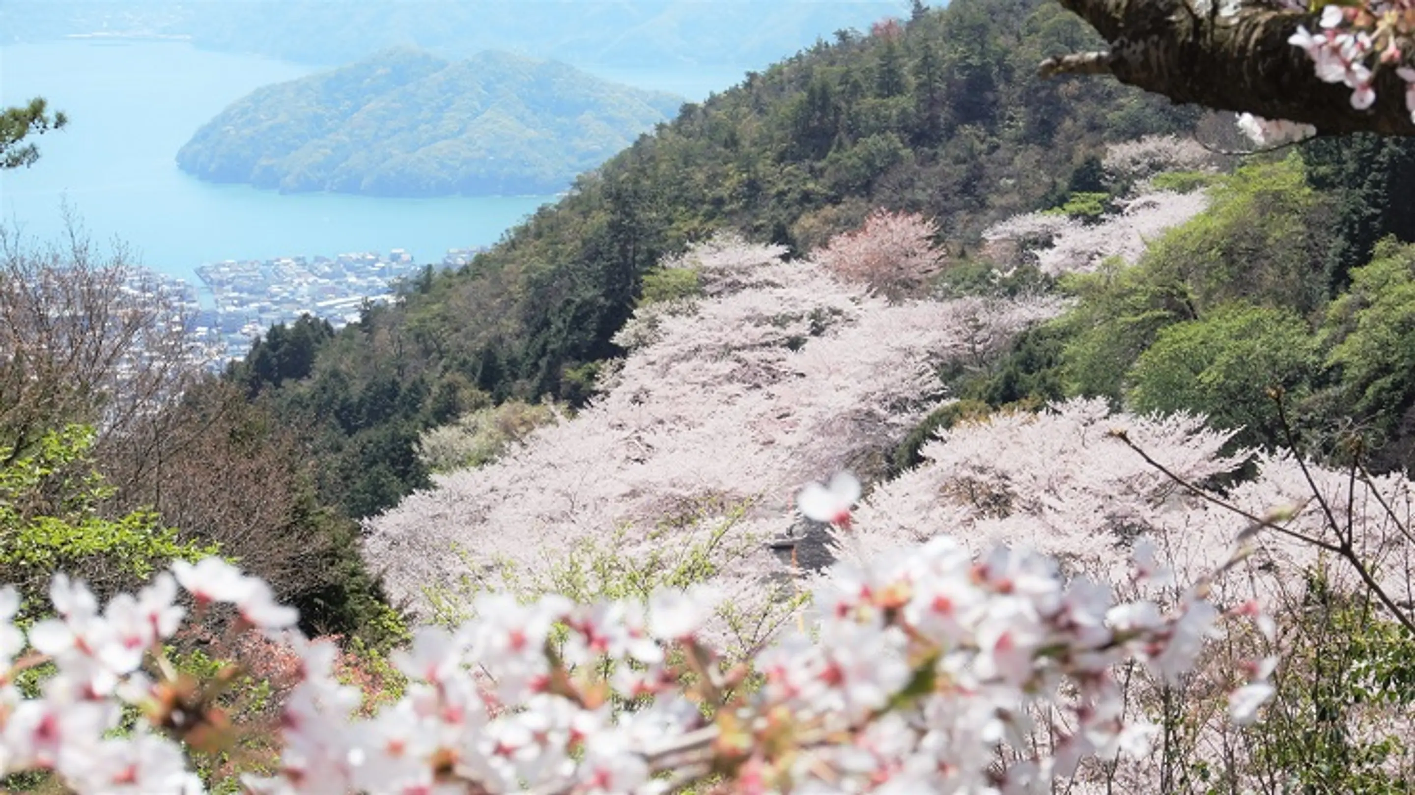 野呂山