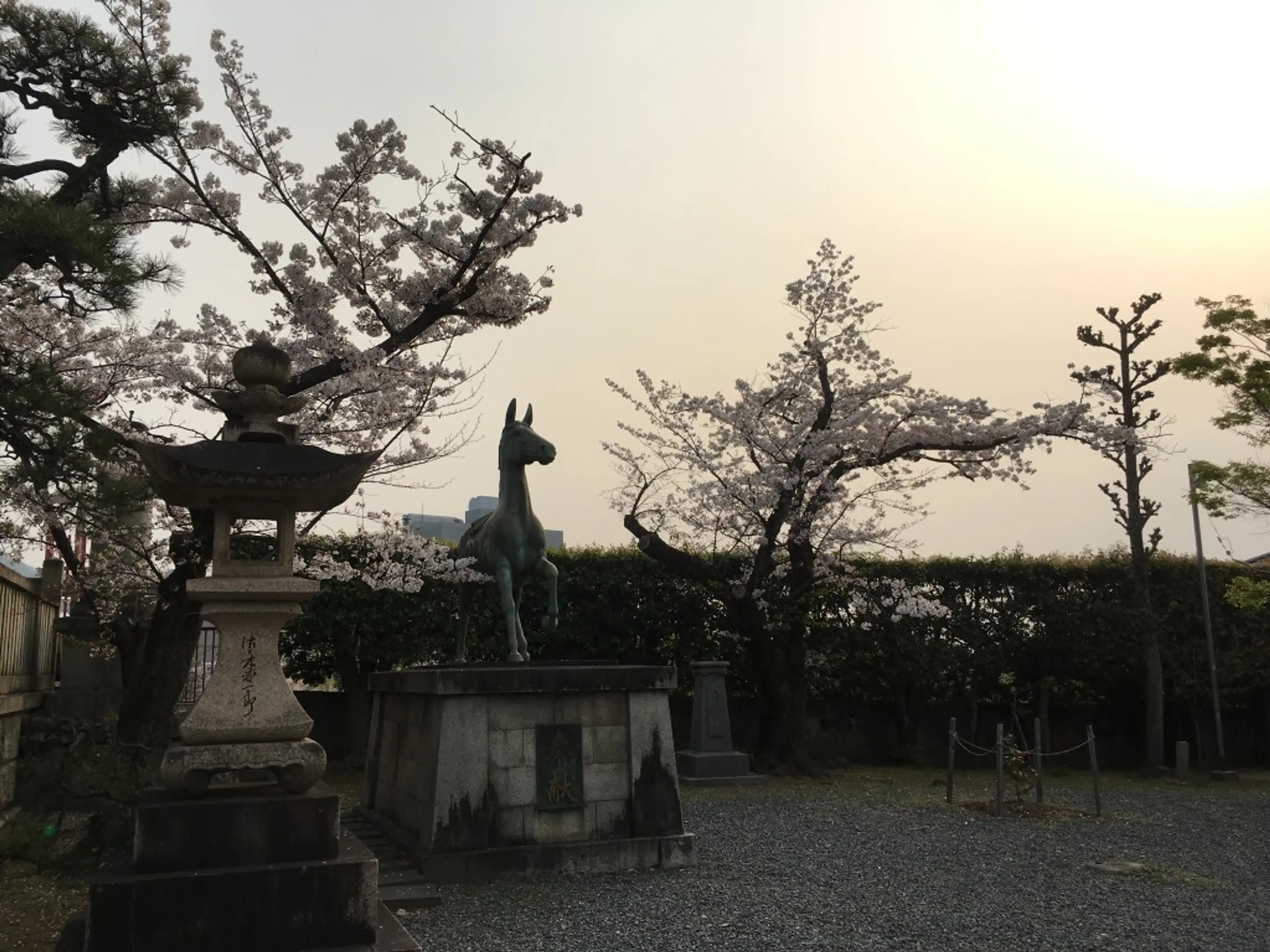 亀山神社　春