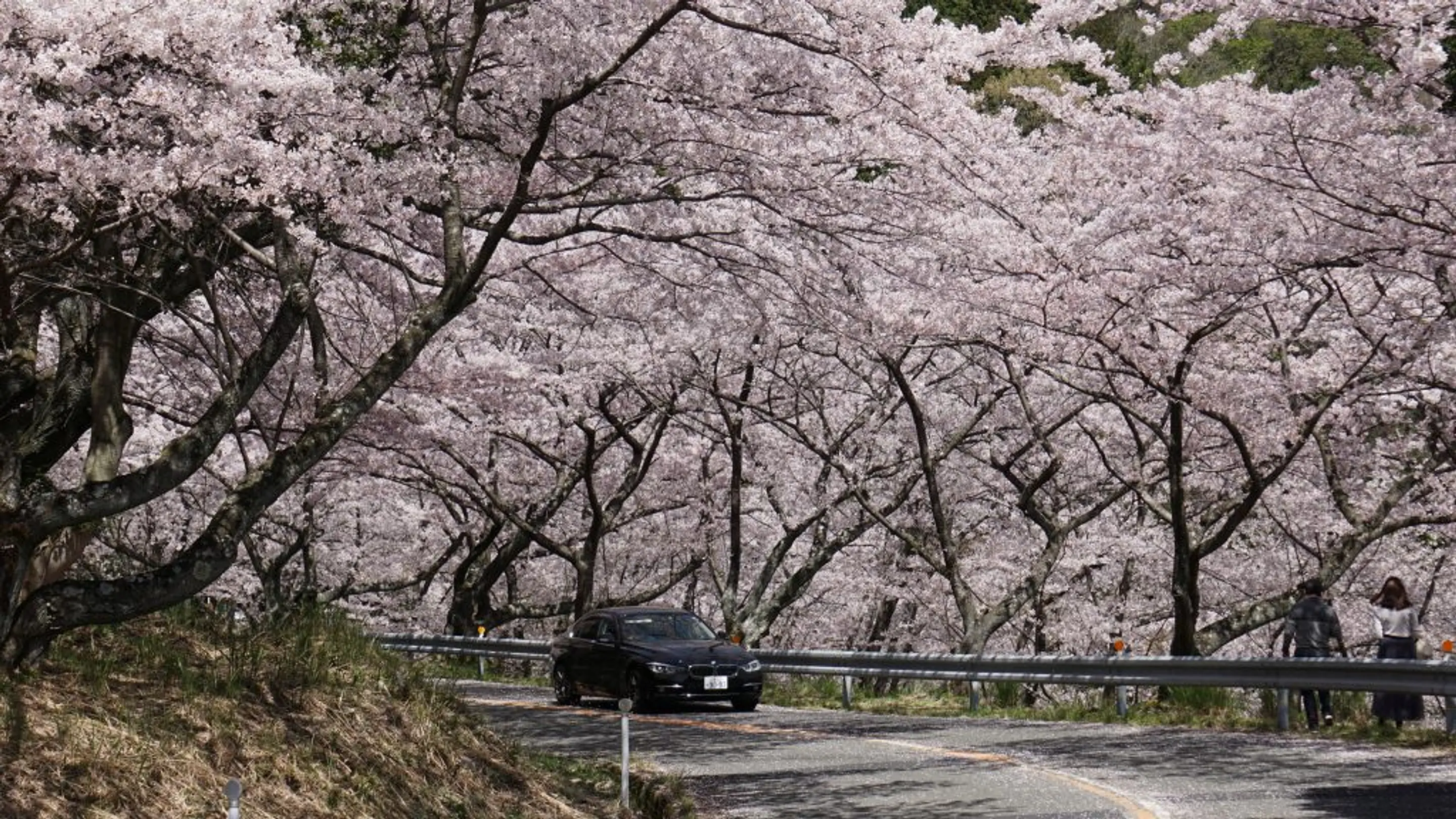 野呂山