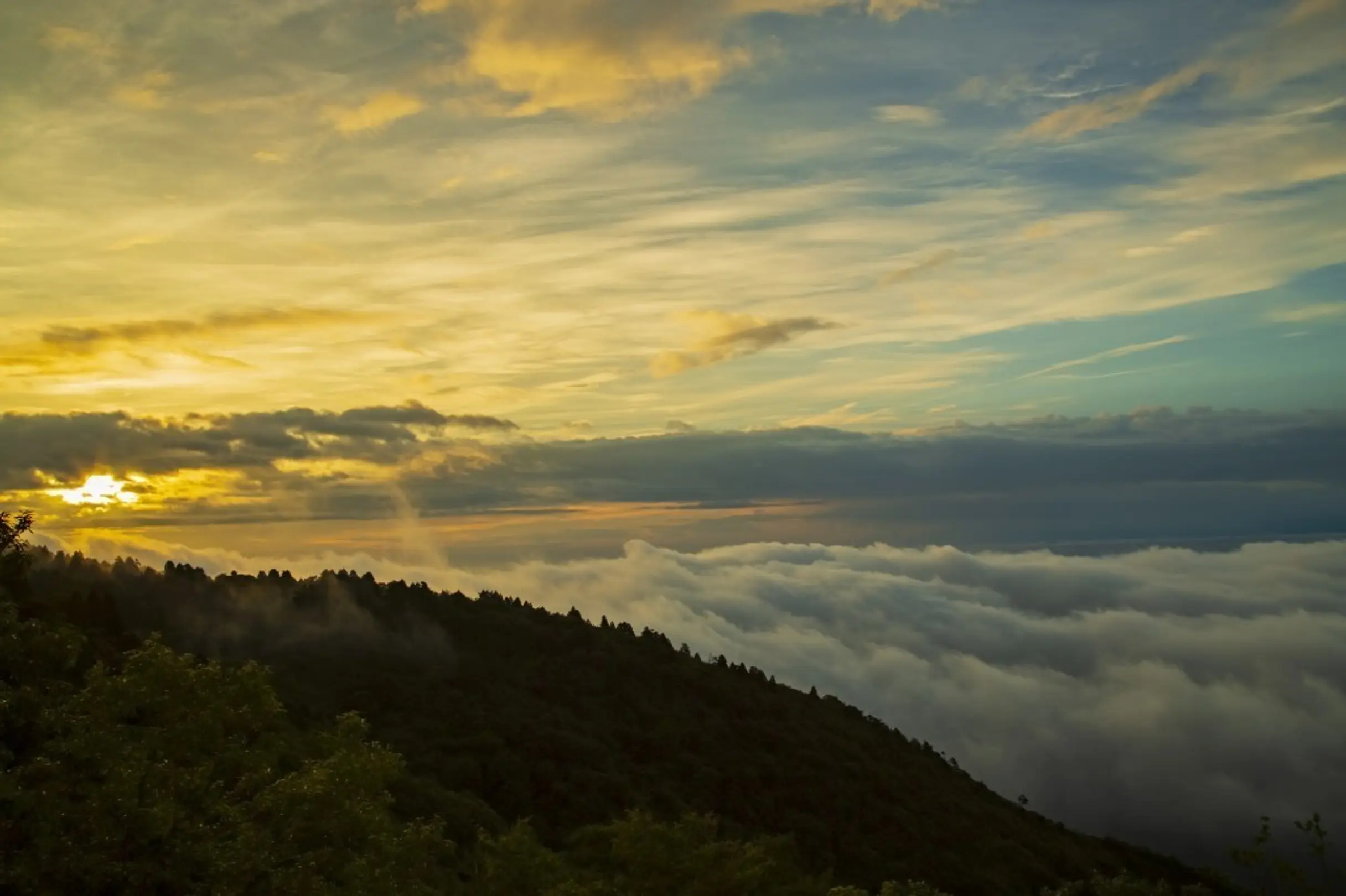 野呂山